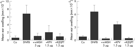 KPV as a General Anti-Inflammatory
